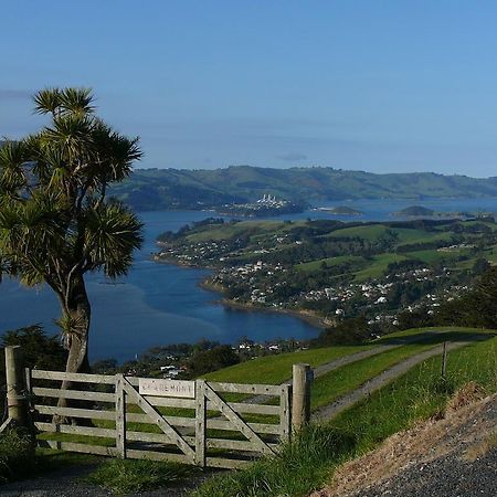 Arts Content Harbour View Lägenhet Macandrew Bay Exteriör bild