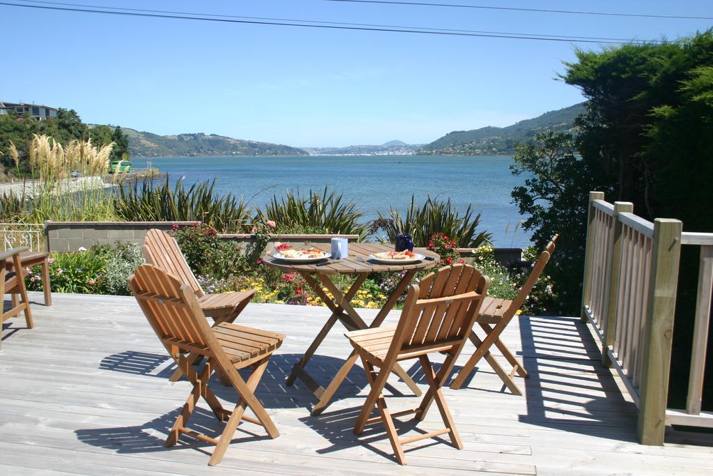 Arts Content Harbour View Lägenhet Macandrew Bay Exteriör bild