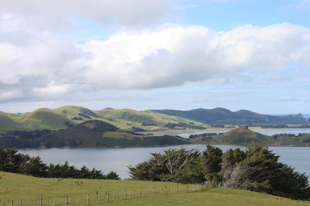 Arts Content Harbour View Lägenhet Macandrew Bay Exteriör bild