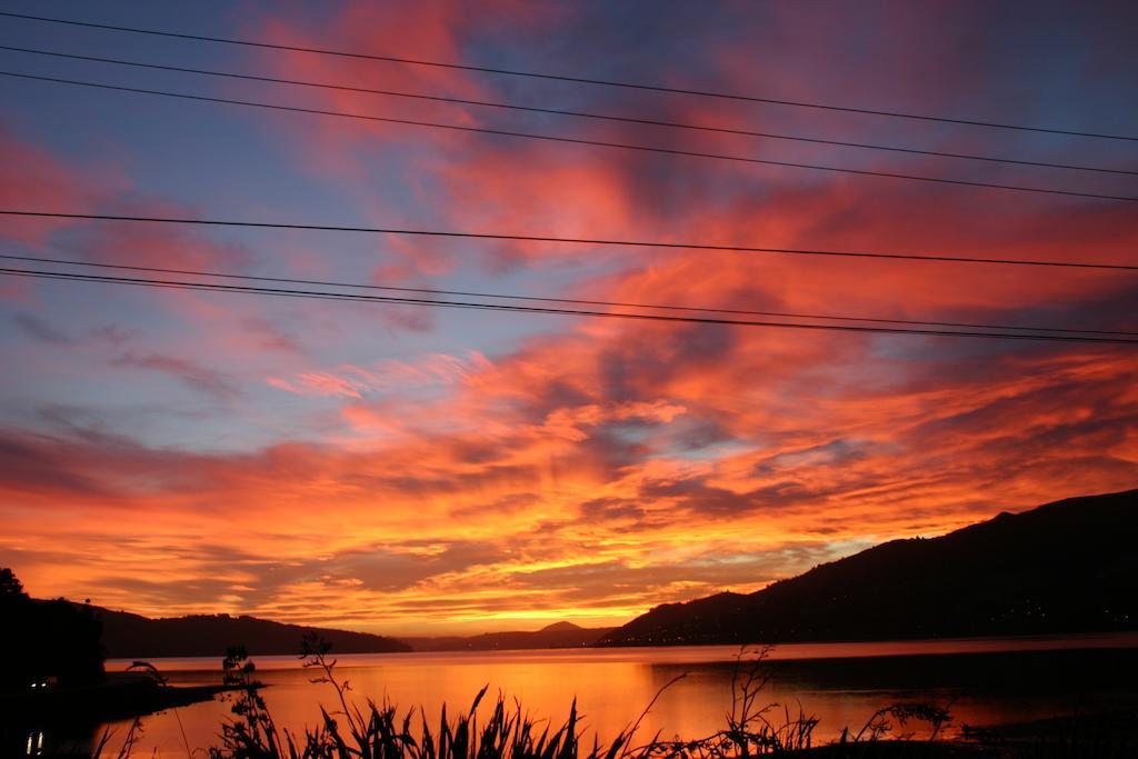 Arts Content Harbour View Lägenhet Macandrew Bay Exteriör bild