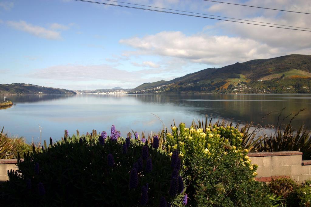 Arts Content Harbour View Lägenhet Macandrew Bay Exteriör bild