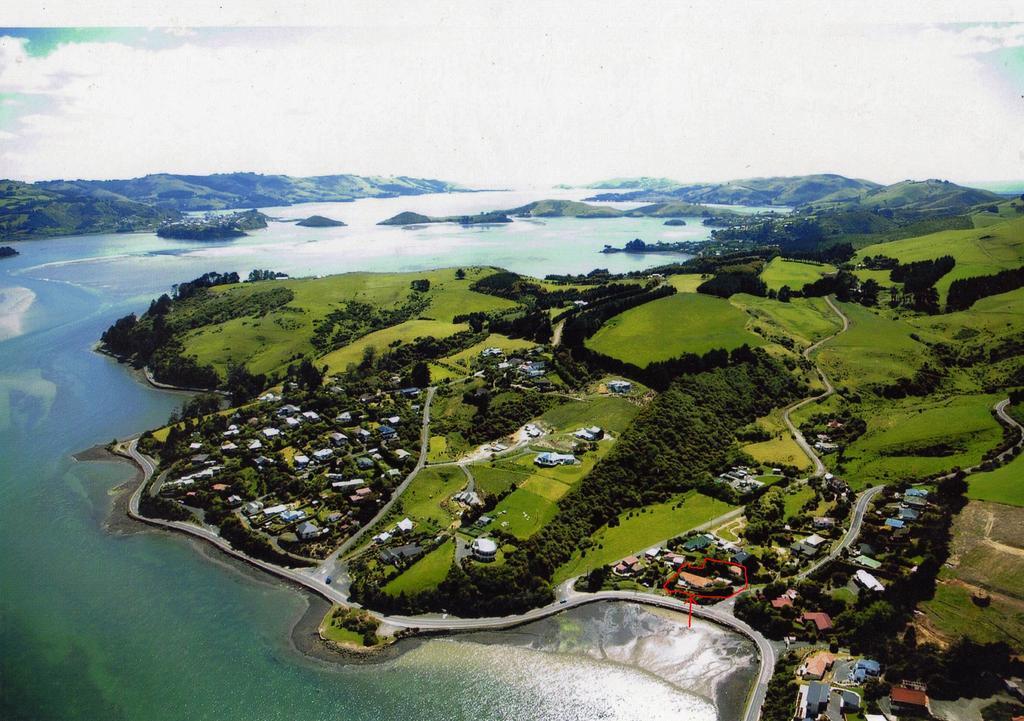 Arts Content Harbour View Lägenhet Macandrew Bay Exteriör bild